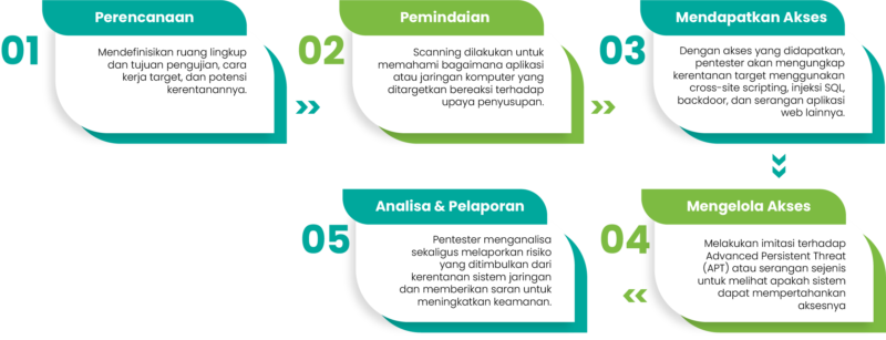 cara penetration test